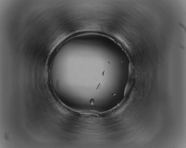 X0000093361077200710111450