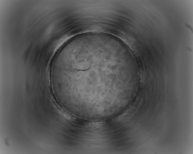 X0000093361078200710111450