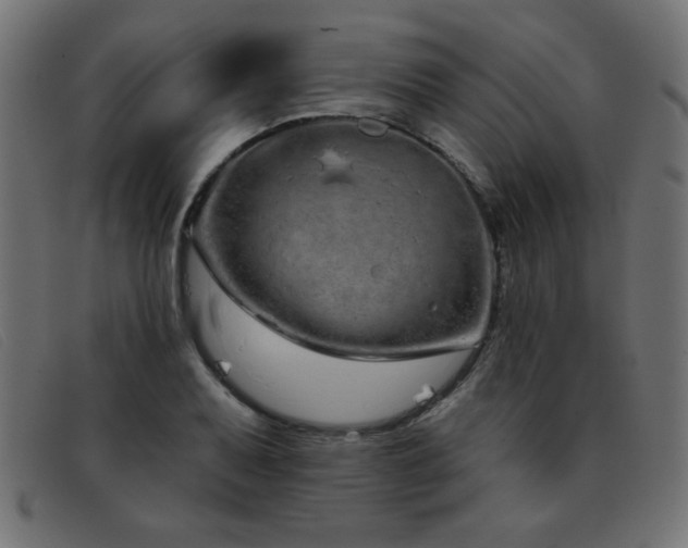 X0000093361079200710111450