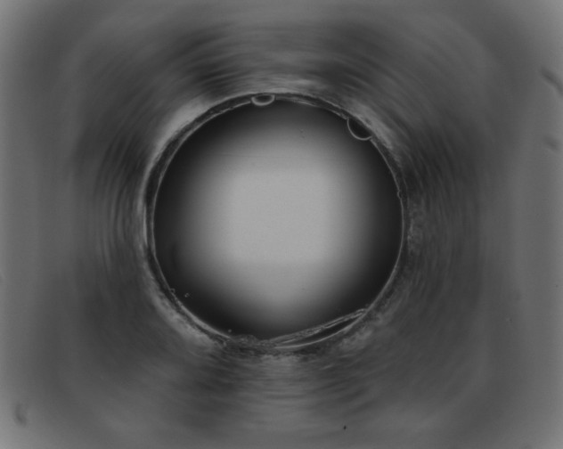 X0000093361080200710111450