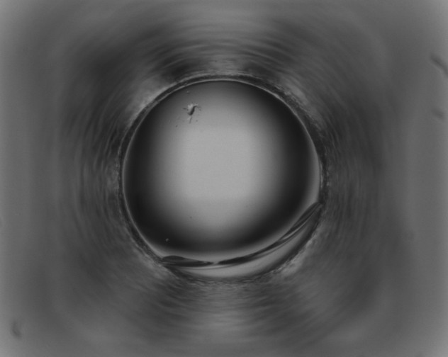X0000093361081200710111450