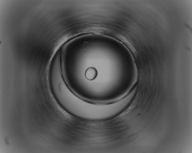 X0000093361083200710111450