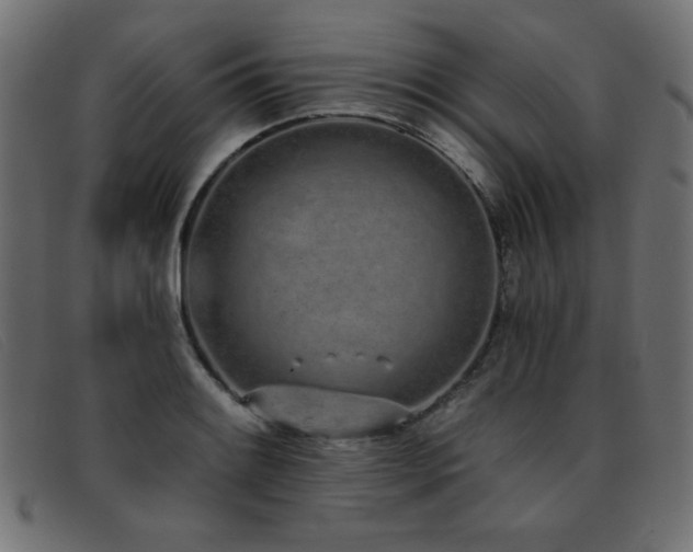 X0000093361084200710111450
