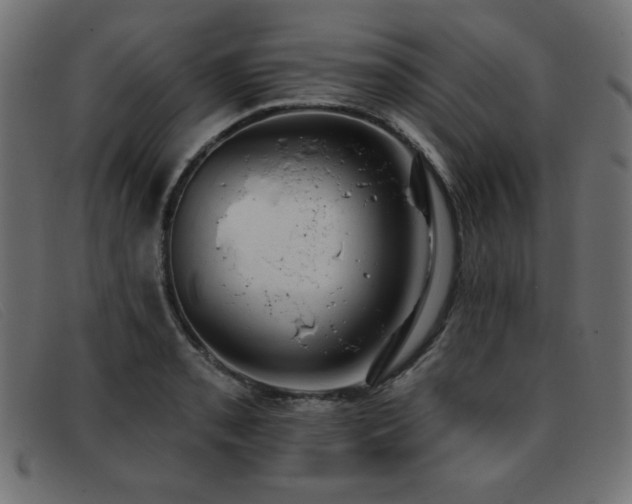 X0000093361085200710111450