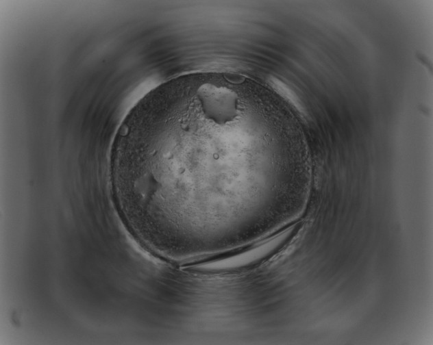X0000093361087200710111450