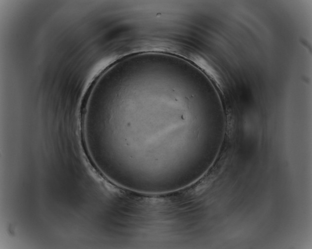 X0000093361088200710111450