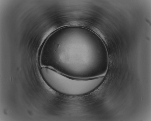 X0000093361091200710111450