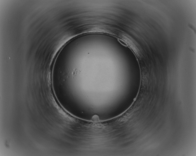 X0000093361092200710111450