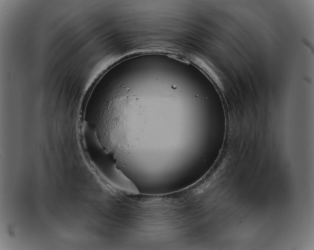 X0000093361093200710111450