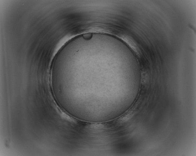 X0000093361094200710111450