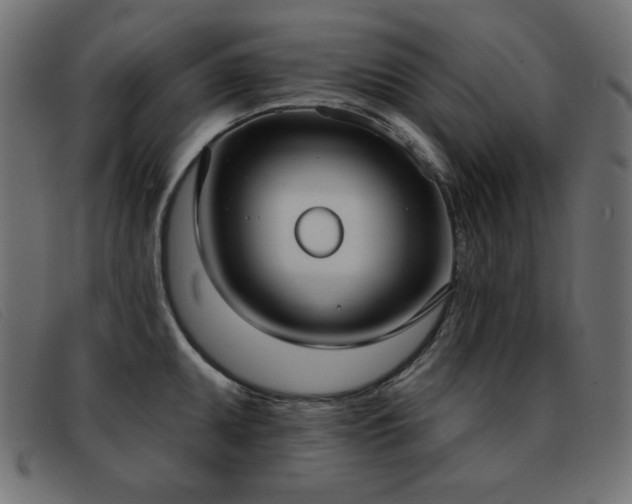 X0000093361095200710111450