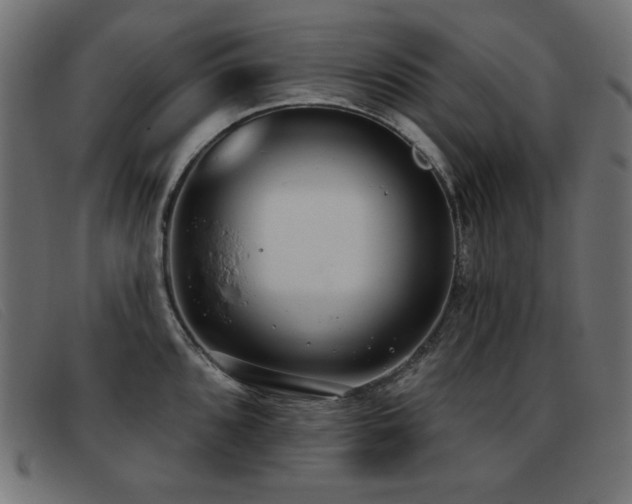 X0000093361096200710111450