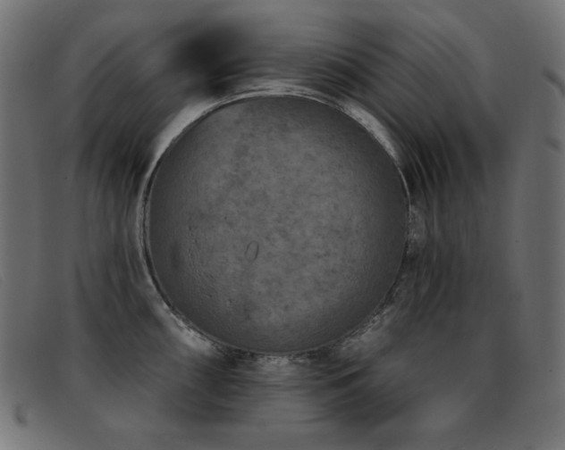 X0000093361098200710111450