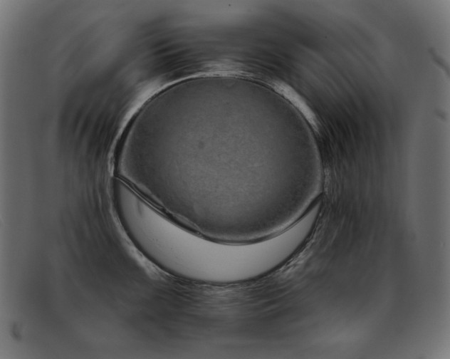 X0000093361099200710111450