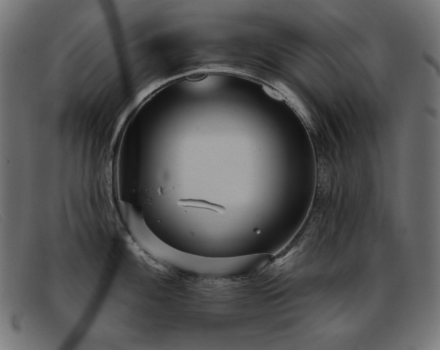 X0000093361100200710111450