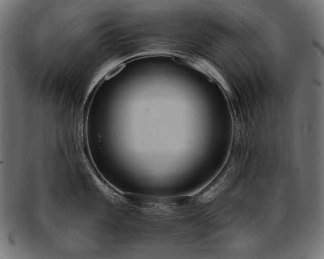 X0000093361101200710111450