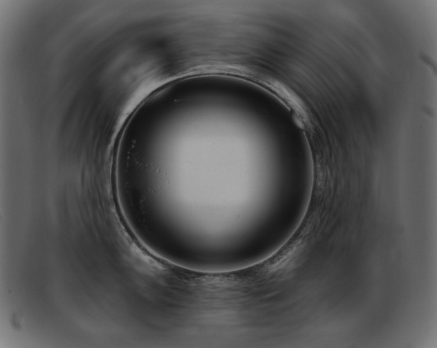 X0000093361102200710111450
