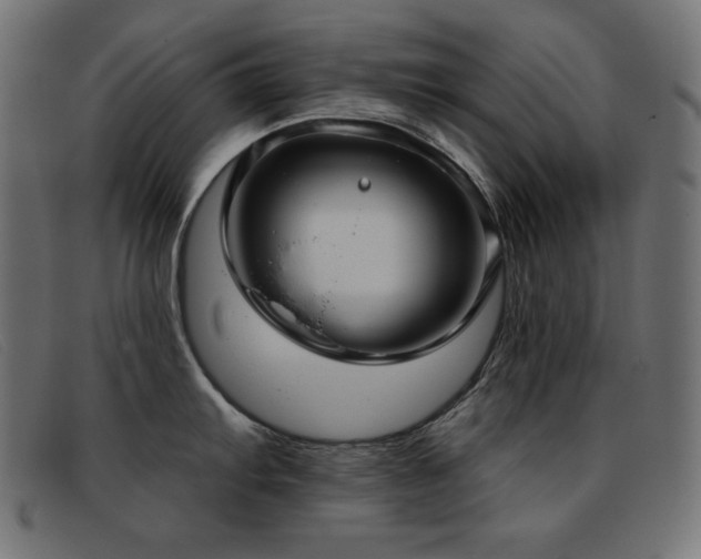 X0000093361103200710111450