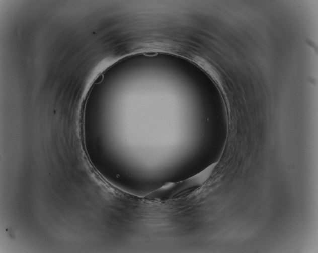 X0000093361104200710111450