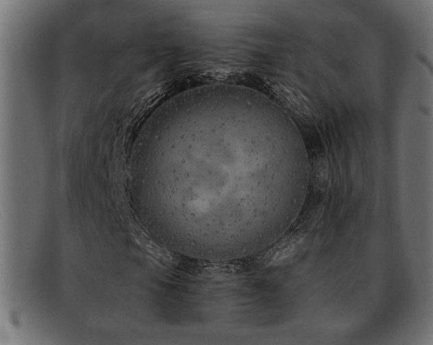 X0000093361105200710111449