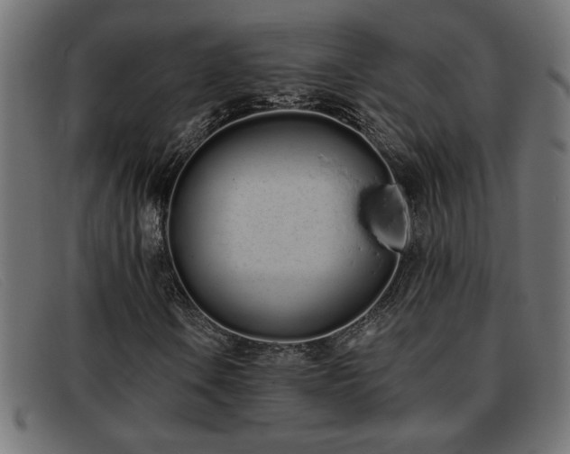 X0000093361106200710111449