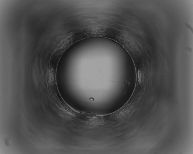 X0000093361107200710111449