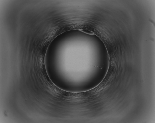 X0000093361108200710111449