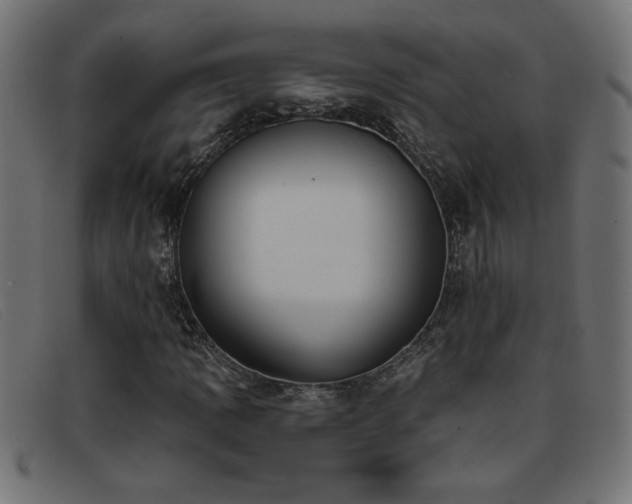 X0000093361109200710111449