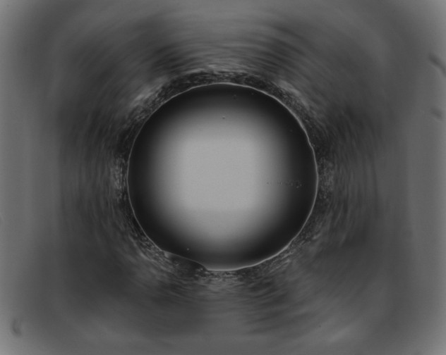X0000093361110200710111449