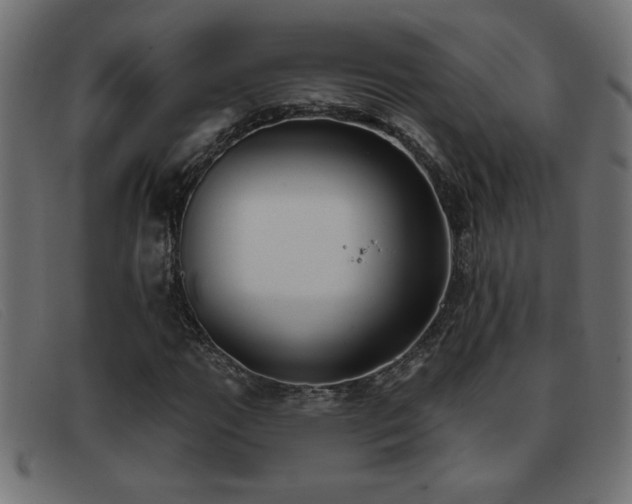 X0000093361111200710111449