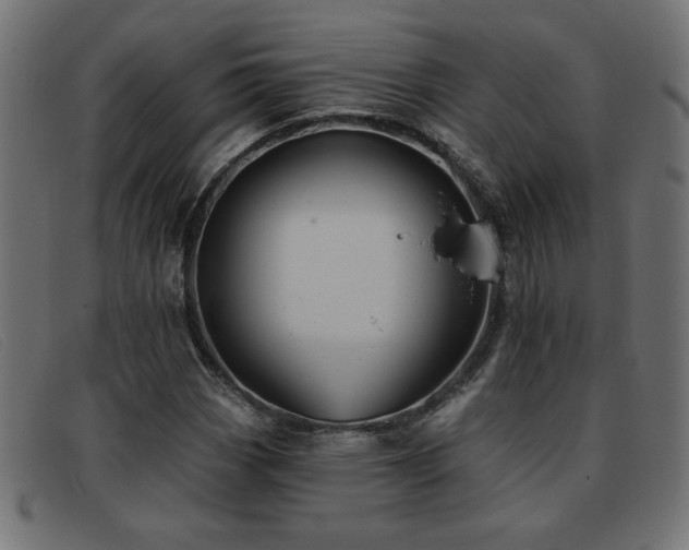X0000093361113200710111449