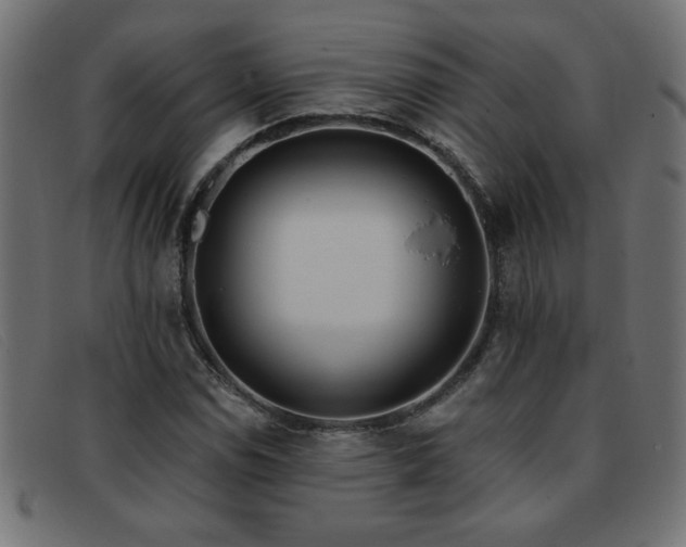 X0000093361114200710111449