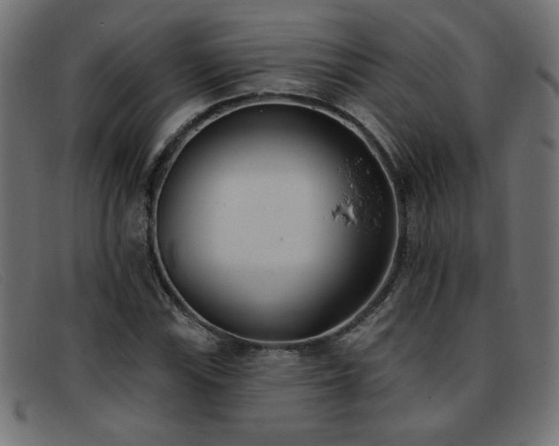 X0000093361115200710111449