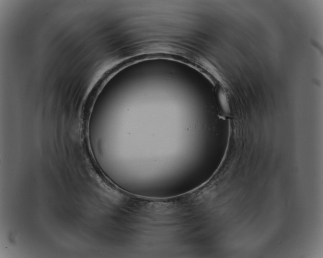 X0000093361116200710111449