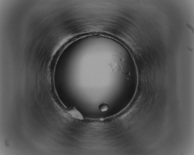 X0000093361118200710111449