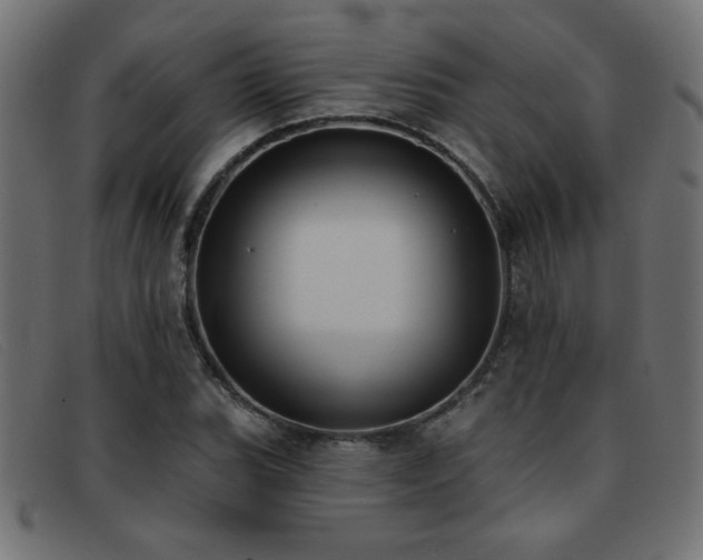 X0000093361119200710111449