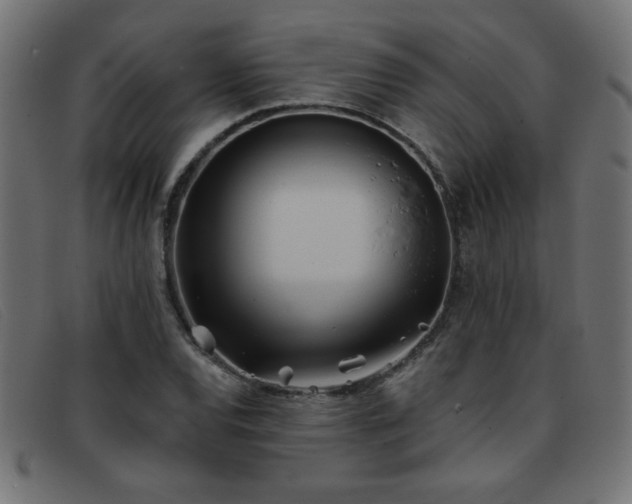 X0000093361120200710111450