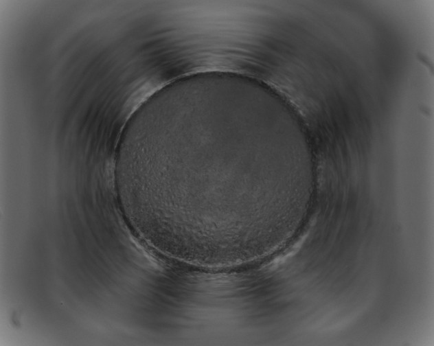 X0000093361121200710111450