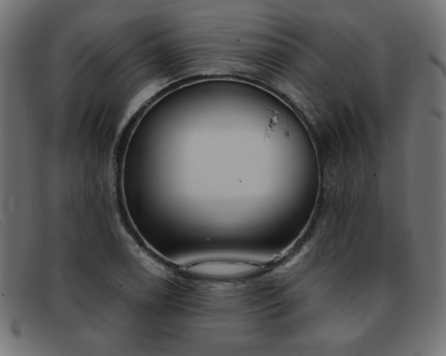 X0000093361122200710111450