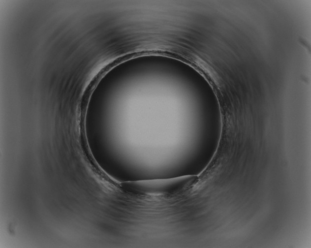 X0000093361124200710111450