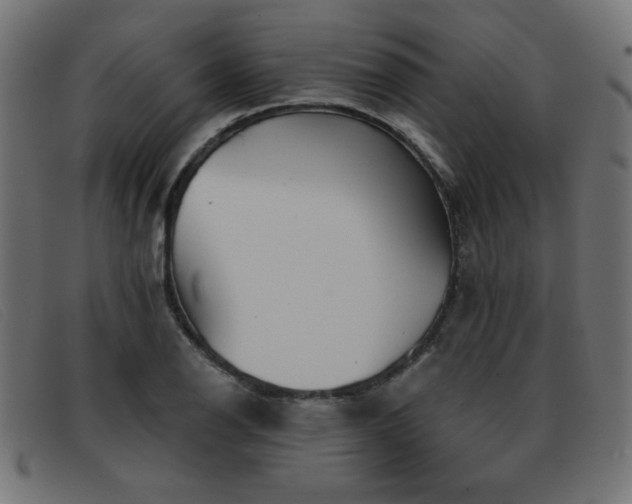 X0000093361126200710111450