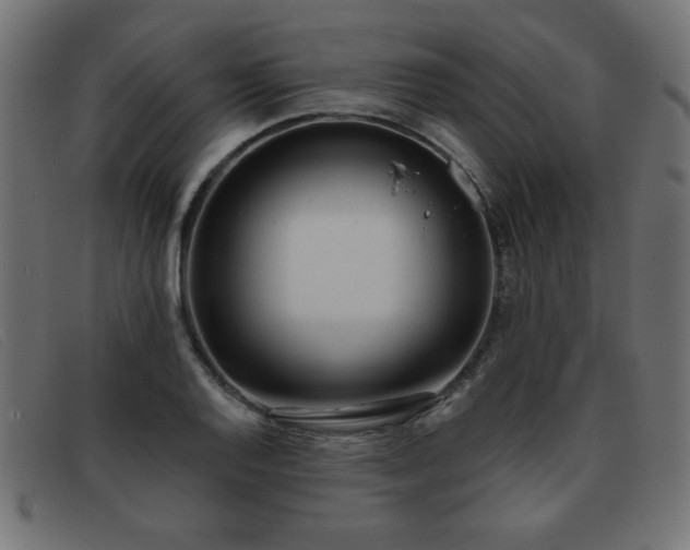 X0000093361128200710111450