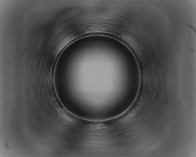 X0000093361129200710111450