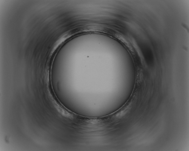 X0000093361130200710111450