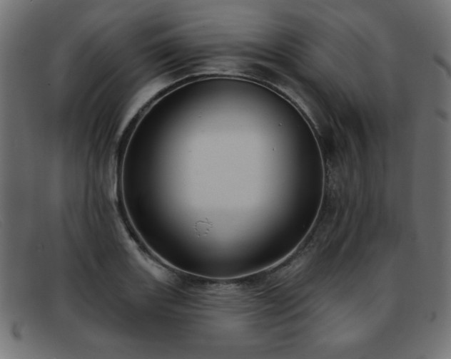 X0000093361131200710111450