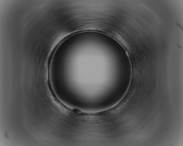 X0000093361132200710111450