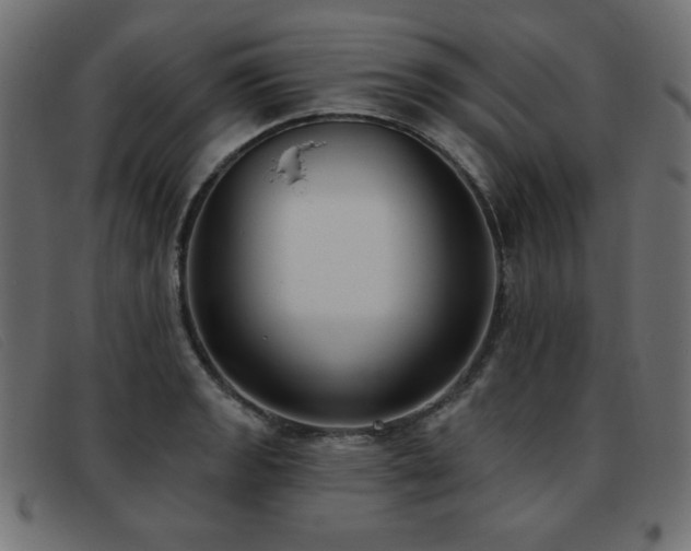 X0000093361133200710111450