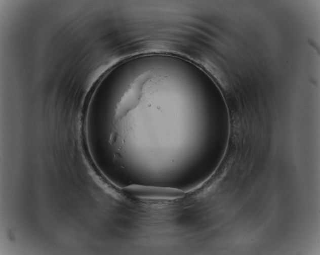 X0000093361134200710111450