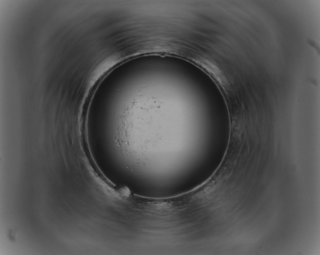X0000093361135200710111450