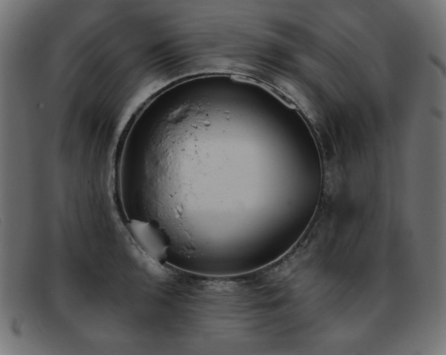 X0000093361136200710111450